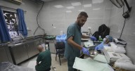 Gaza news: Doctors warn of signs of malnutrition