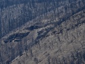Colorado wildfires: Evacuation orders lifted for Crosho fire