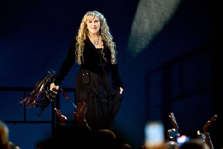 Stevie Nicks postpones concerts after fracturing her shoulder