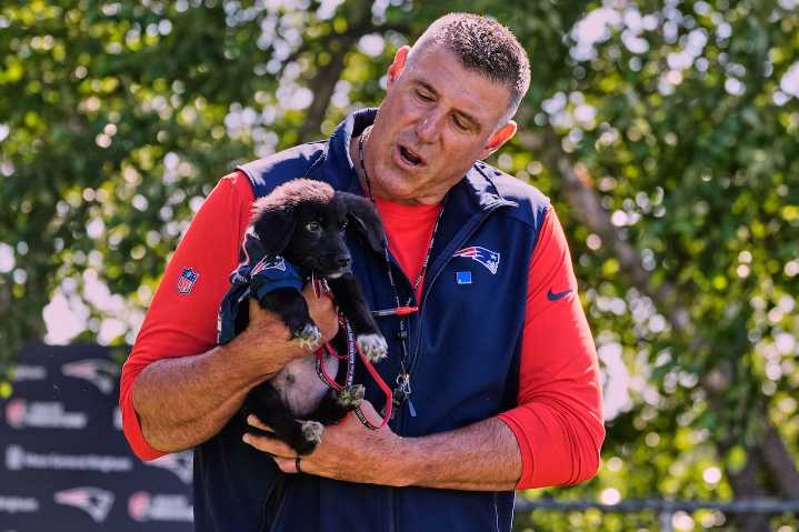 Mike Vrabel responds to criticism that Patriots practices are ‘soft’