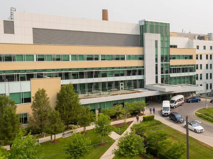 Ontario hospital defends use of animals in research as critics speak out