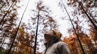 Rumor Has It Your Tree Leaves Might Be Able To Predict Winter Weather