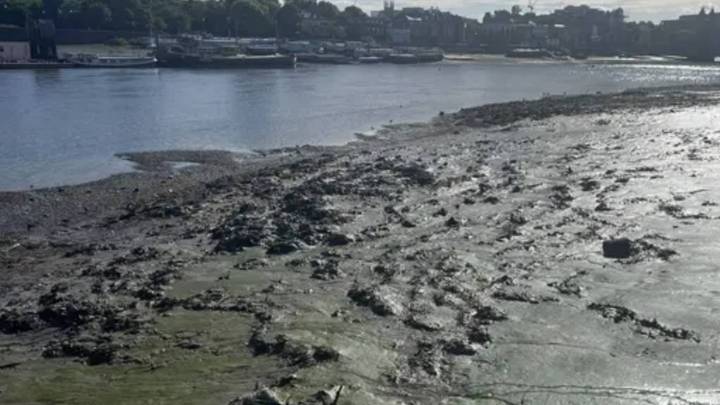 London’s 250-metre long ‘wet wipe island’ made of congealed waste and weighing 180...