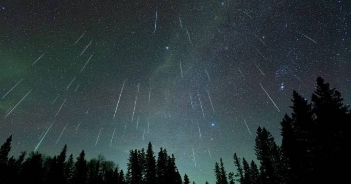 Perseid meteor shower peaks next week; meteor 'storm' on the way