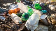 Ecatepec busca romper récord Guinness con 150 mil personas recolectando basura