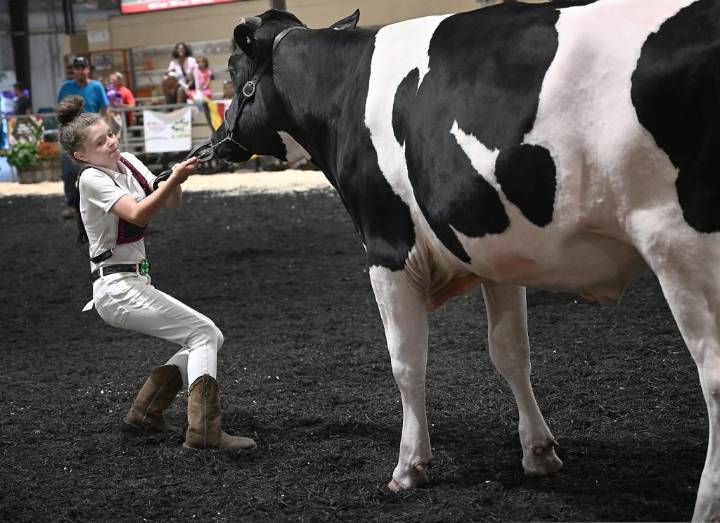 Maryland farmers celebrate, recalibrate