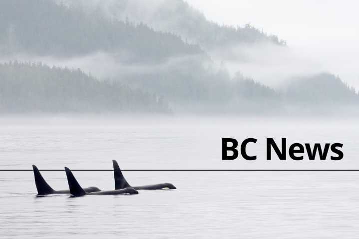 This story is no longer available