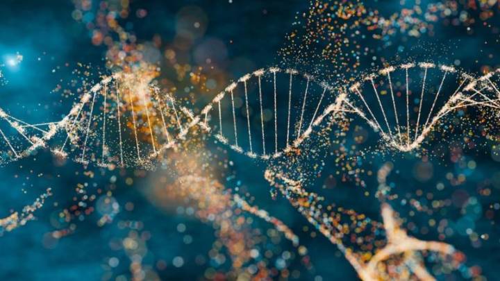 El ADN viral antiguo podría desempeñar un papel clave en el desarrollo temprano humano, sugiere nuevo estudio