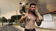 La ola de incendios ya ha causado unas pérdidas de al menos 600 millones de euros en agricultura