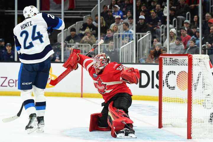 St. Louis Blues Potential Winter Olympic Representatives