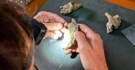 Descubren fósiles en Etiopía que podrían pertenecer a un ancestro humano desconocido