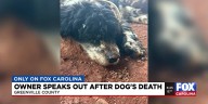 Owner speaks out for first time after SC dog euthanized without consent