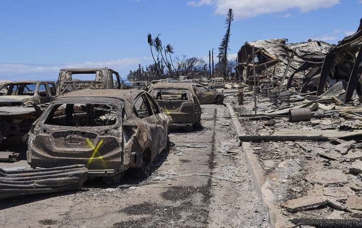 Studies Tie Unrecognized Deaths And Health Problems To Maui Wildfire