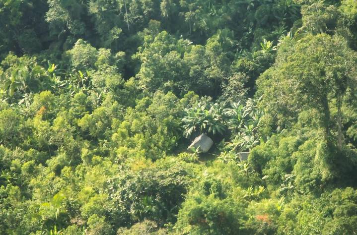 Reserva Yavarí Mirim: Organizaciones exigen categorización inmediata para proteger a pueblos en aislamiento