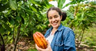 Conoce los múltiples beneficios del cacao