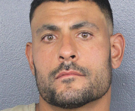 Dolphins assistant coach Ryan Crow arrested