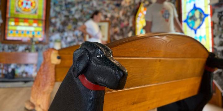 Massive Vermont mountain park celebrates bond between dogs and humans