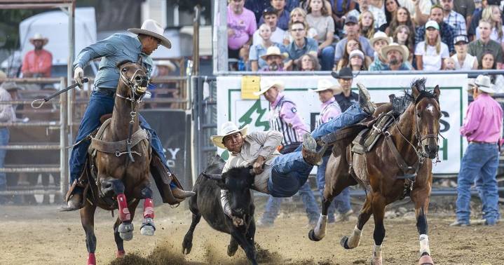 GALLERY: Cache County Fair and Rodeo