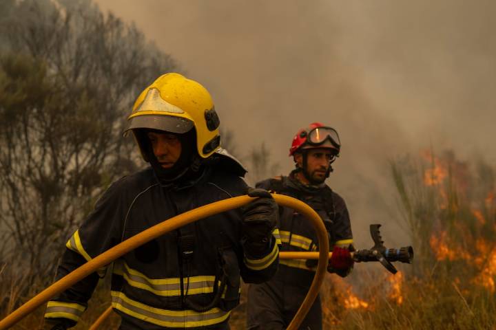 Los que se enfrentan al fuego en Ourense no atisban el final: “No queda otra que aguantar”