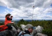 Thousands of raptors are spied in these seasonal counts near the Lehigh Valley: How to help