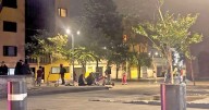 Vigilan puntos canábicos; buscan evitar la venta de drogas en CDMX