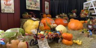 Missouri celebrates agriculture at state fair as industry faces international downturn