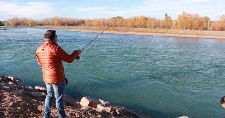 Cómo reconocer y pescar el pez exótico que vino del Atlántico en el río Limay: qué hacer si lo capturas