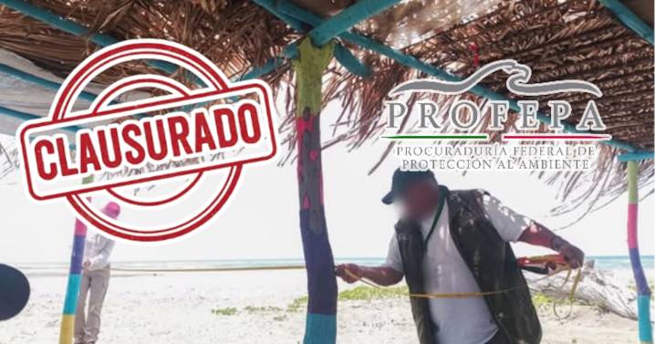 Palapas ilegales, fosas sépticas y clausuras: Profepa interviene zona costera en Veracruz por daño ambiental