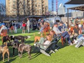 New dog park bar, Fetch Park, comes to Manayunk next month