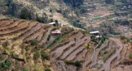 Andenes de Cuyocuyo gana Premio Ecuatorial 2025 por su aporte a la agrobiodiversidad