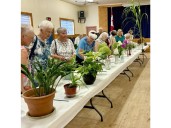 Horticultural society hosts annual Flower Show and Toonie Cafe
