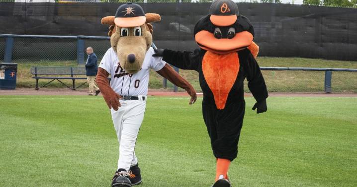 Updated: Frederick Keys to re-affiliate with Orioles for 2026 season
