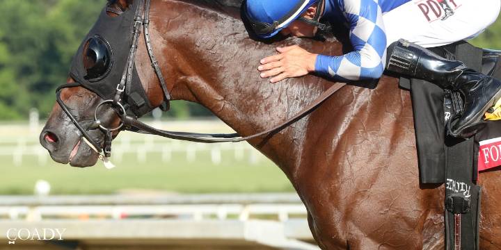 Fort Washington, wagerers win big at 2025 Festival of Racing