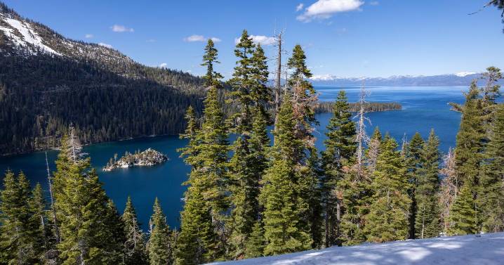 California resident tests positive for the plague. Officials blame Lake Tahoe flea