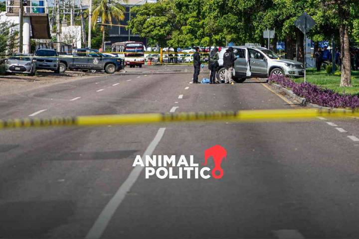 Después de 3 años a la baja, los asesinatos vuelven a subir en 2024: Inegi
