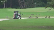 Sumter golf tournament supports fatherhood, veterans, Alzheimer’s groups