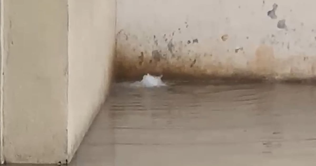 Heavy rain leads to flooding at Fulton County Jail