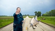 Illinois Officers Rescue Swans Stuck in Traffic Jam