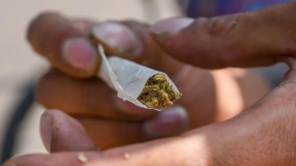 ¿Cuánta cantidad legal de marihuana se puede portar en CDMX?