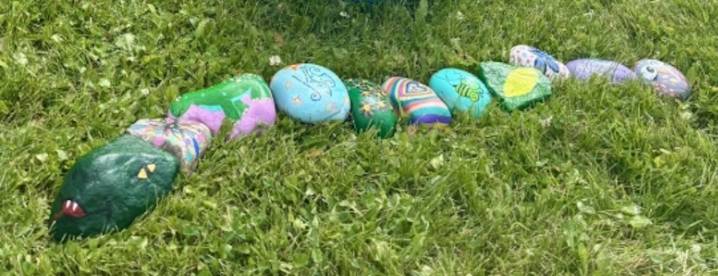 Vote now: Help name Sylvan Lake’s colourful rock snake