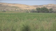Grassy Mountain Gold Project mine being proposed