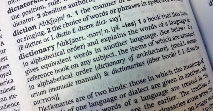 Cambridge Dictionary adds 'skibidi' and 'tradwife' among 6,000 new words