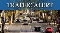 Fallen tree restricts traffic on Route 8