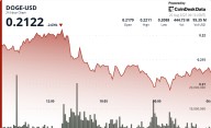 Qubic’s 51% Attack Plans Trigger DOGE Crash, Futures Open Interest Drops 8%