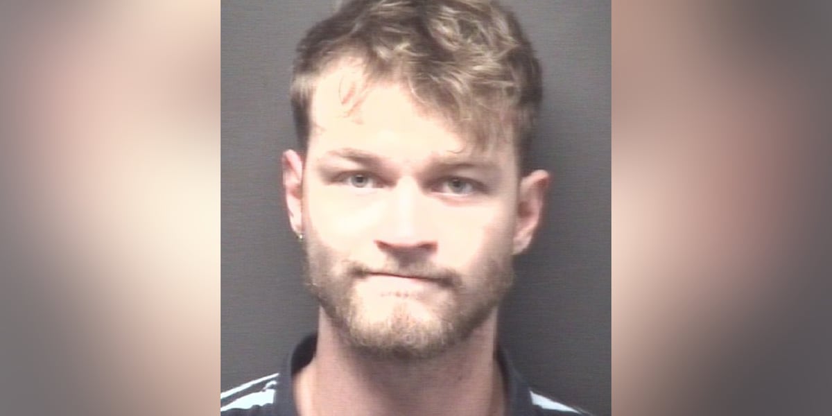 Ayden man facing two dozen gun charges