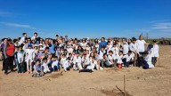 Día del Arbol | Forestaron el perímetro del ex basural de Gobernador Ugarte