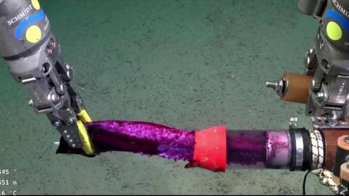 Fiebre en Argentina por la retransmisión de una expedición científica submarina