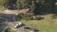 Cuatro hombres resultan heridos tras caída de árbol en Filadelfia