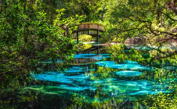 "Recipe For Disaster": Florida Doesn't Want A New National Park For Obvious Reasons