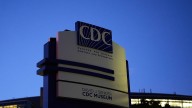 With CDC in chaos, scientists and physicians piece together replacements for agency's lost work